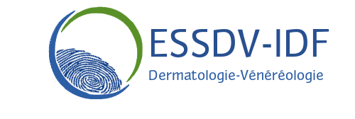 ESSDV-IDF
